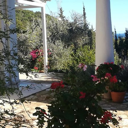 Villa Buras Skinária エクステリア 写真