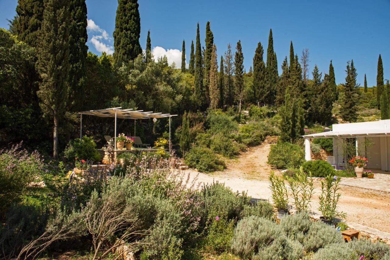 Villa Buras Skinária エクステリア 写真